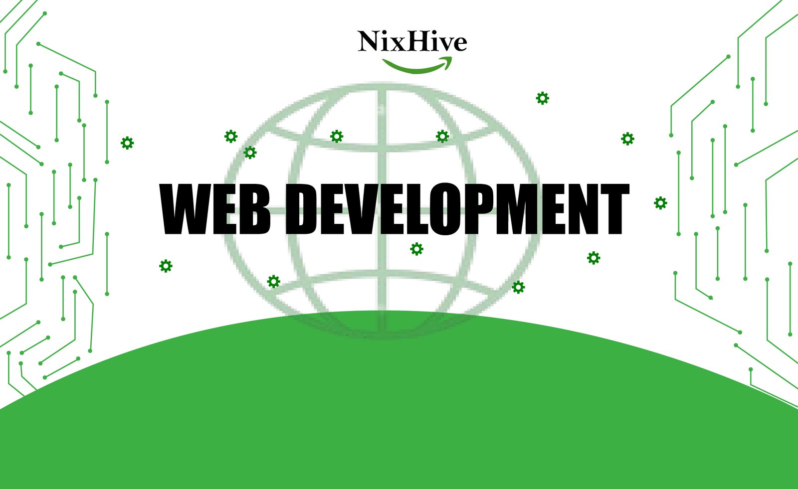 Web Development Team Working at Grape Web Solutions